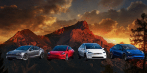 Tesla customization in Port St Lucie, FL