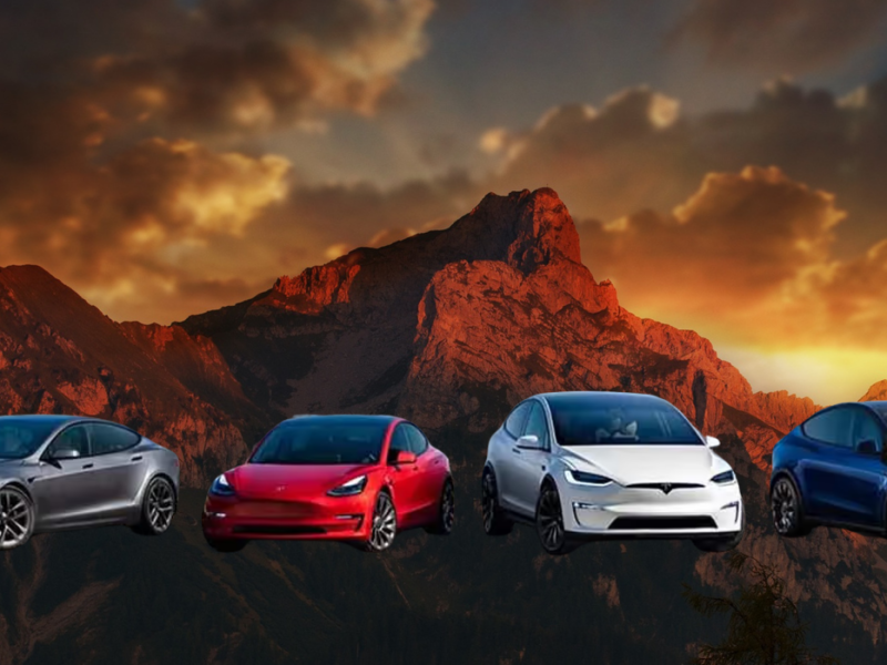 Tesla customization in Port St Lucie, FL